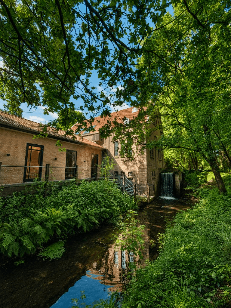De Watermolen van Rakhorst